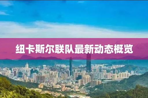 紐卡斯?fàn)柭?lián)隊(duì)最新動(dòng)態(tài)概覽