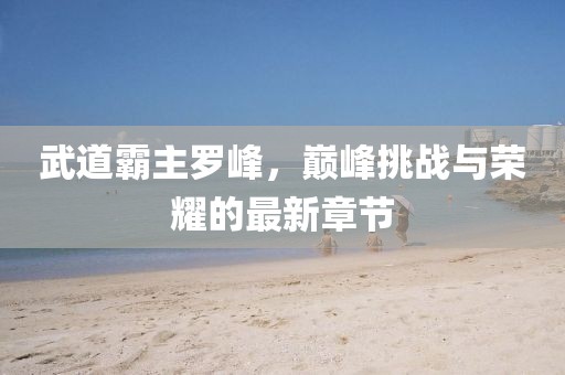 武道霸主羅峰，巔峰挑戰(zhàn)與榮耀的最新章節(jié)