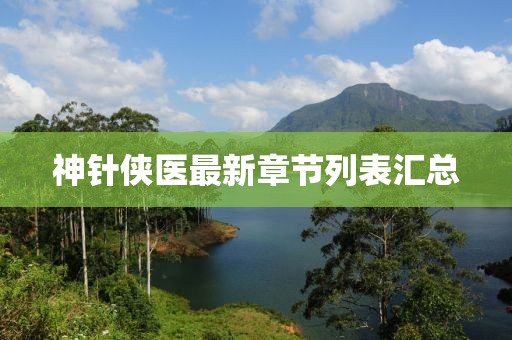 神針俠醫(yī)最新章節(jié)列表匯總