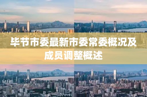 畢節(jié)市委最新市委常委概況及成員調整概述