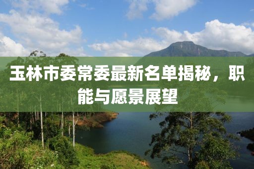 玉林市委常委最新名單揭秘，職能與愿景展望