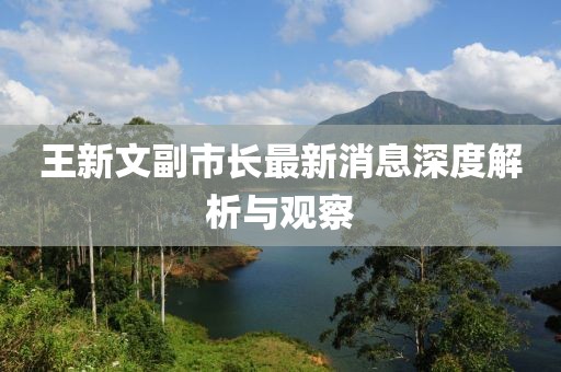 王新文副市長最新消息深度解析與觀察