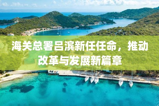 海關(guān)總署呂濱新任任命，推動(dòng)改革與發(fā)展新篇章