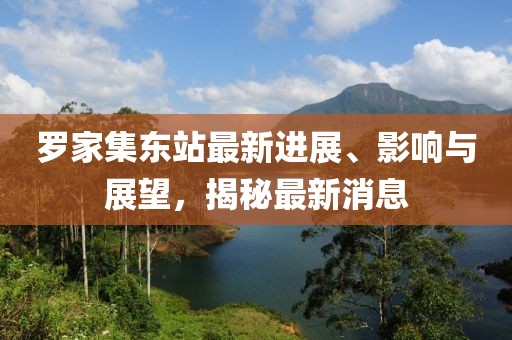 羅家集東站最新進(jìn)展、影響與展望，揭秘最新消息