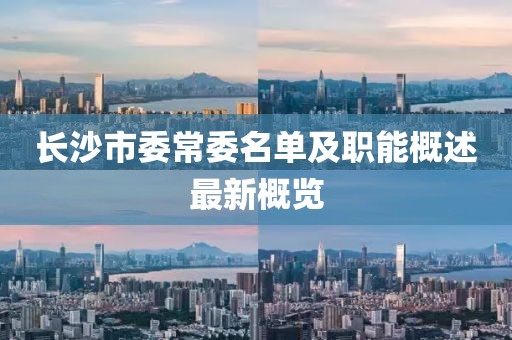 長沙市委常委名單及職能概述最新概覽
