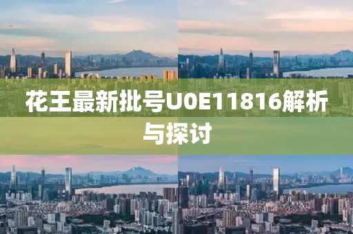 花王最新批號U0E11816解析與探討