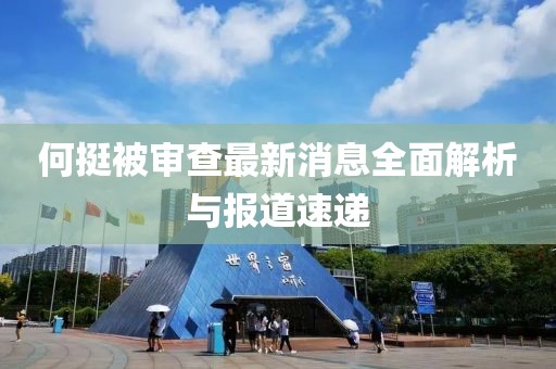 何挺被審查最新消息全面解析與報(bào)道速遞