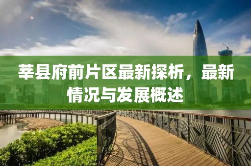 莘縣府前片區(qū)最新探析，最新情況與發(fā)展概述