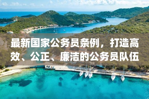 最新國家公務(wù)員條例，打造高效、公正、廉潔的公務(wù)員隊伍
