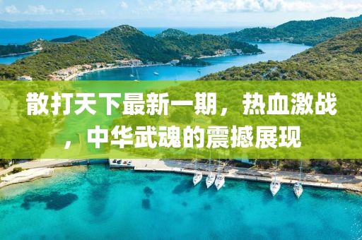 散打天下最新一期，熱血激戰(zhàn)，中華武魂的震撼展現(xiàn)