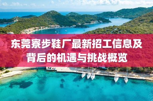 東莞寮步鞋廠最新招工信息及背后的機(jī)遇與挑戰(zhàn)概覽