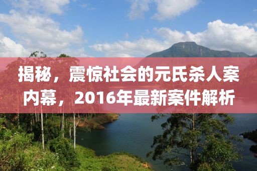 揭秘，震驚社會(huì)的元氏殺人案內(nèi)幕，2016年最新案件解析