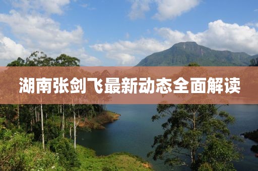 湖南張劍飛最新動態(tài)全面解讀