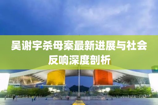 吳謝宇殺母案最新進(jìn)展與社會(huì)反響深度剖析