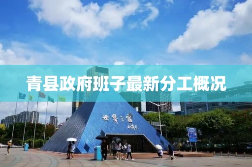 青縣政府班子最新分工概況