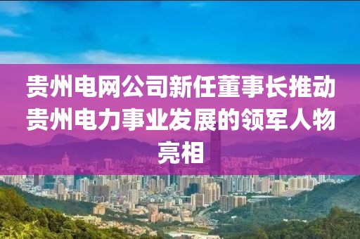 貴州電網(wǎng)公司新任董事長推動(dòng)貴州電力事業(yè)發(fā)展的領(lǐng)軍人物亮相