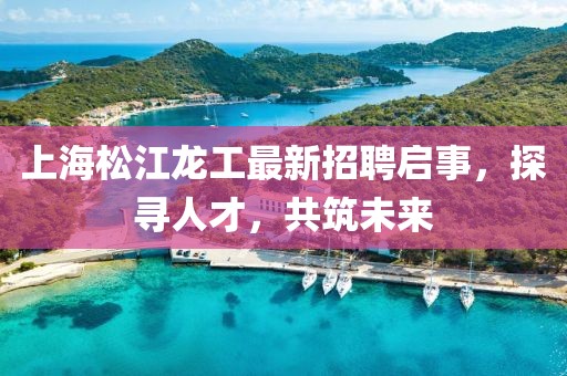 上海松江龍工最新招聘啟事，探尋人才，共筑未來