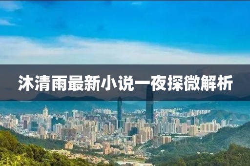 沐清雨最新小說一夜探微解析