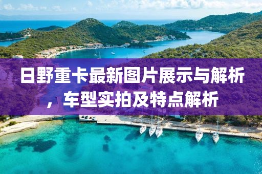 日野重卡最新圖片展示與解析，車型實(shí)拍及特點(diǎn)解析