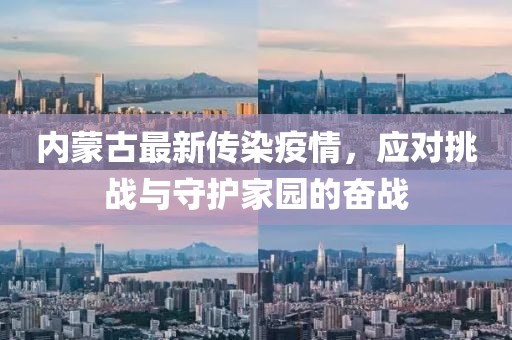 內(nèi)蒙古最新傳染疫情，應(yīng)對挑戰(zhàn)與守護家園的奮戰(zhàn)