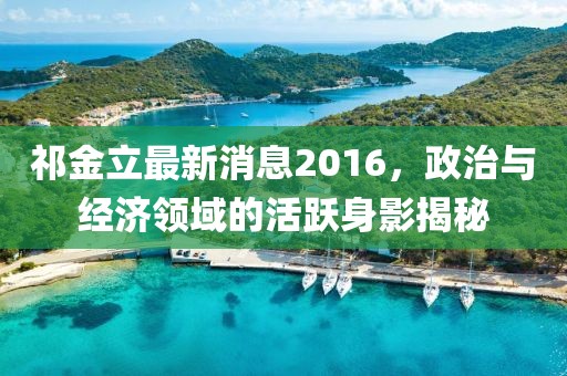祁金立最新消息2016，政治與經濟領域的活躍身影揭秘