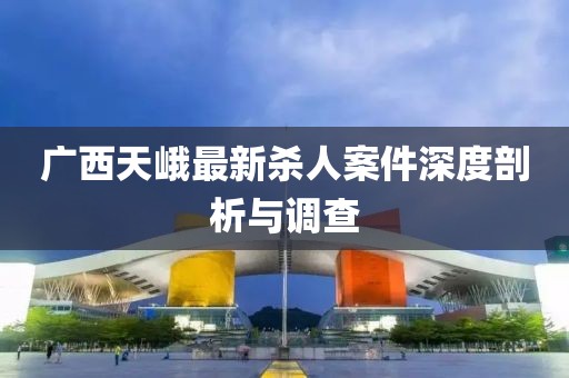 廣西天峨最新殺人案件深度剖析與調(diào)查