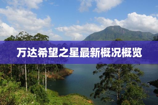 萬達(dá)希望之星最新概況概覽