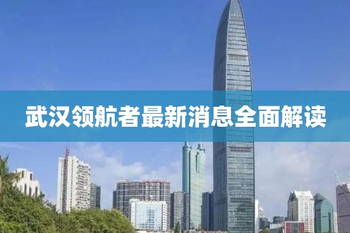 武漢領航者最新消息全面解讀