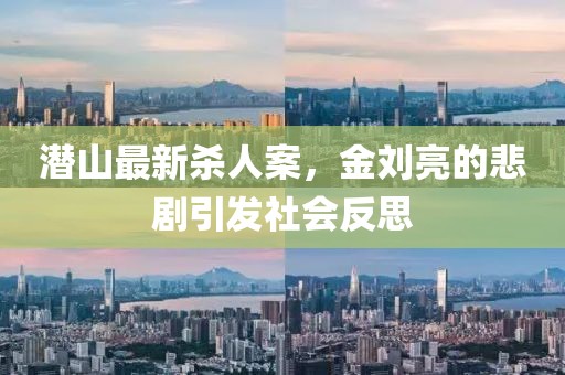 潛山最新殺人案，金劉亮的悲劇引發(fā)社會反思
