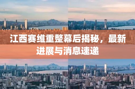 江西賽維重整幕后揭秘，最新進展與消息速遞