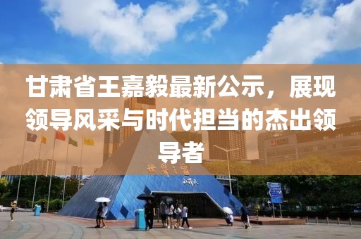 甘肅省王嘉毅最新公示，展現(xiàn)領導風采與時代擔當的杰出領導者