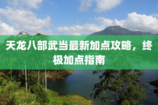 天龍八部武當最新加點攻略，終極加點指南