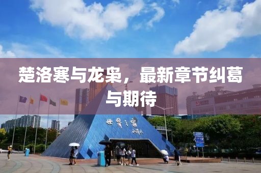 楚洛寒與龍梟，最新章節(jié)糾葛與期待