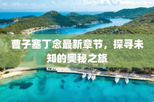 曹子塞丁念最新章節(jié)，探尋未知的奧秘之旅