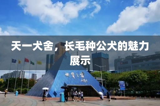 天一犬舍，長(zhǎng)毛種公犬的魅力展示