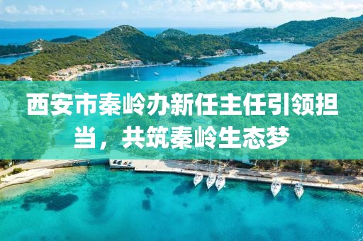 西安市秦嶺辦新任主任引領(lǐng)擔(dān)當(dāng)，共筑秦嶺生態(tài)夢