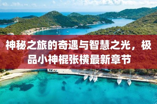 神秘之旅的奇遇與智慧之光，極品小神棍張橫最新章節(jié)