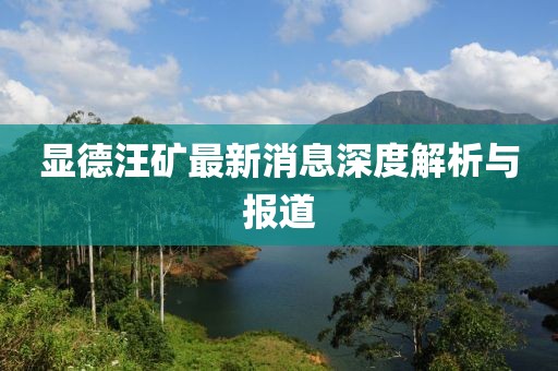 顯德汪礦最新消息深度解析與報道