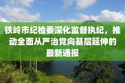 鐵嶺市紀檢委深化監(jiān)督執(zhí)紀，推動全面從嚴治黨向基層延伸的最新通報