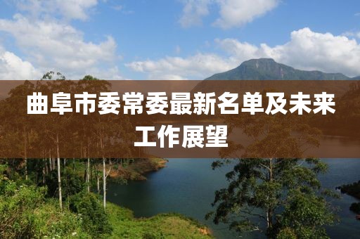 曲阜市委常委最新名單及未來工作展望