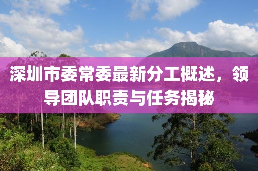 深圳市委常委最新分工概述，領(lǐng)導(dǎo)團(tuán)隊(duì)職責(zé)與任務(wù)揭秘