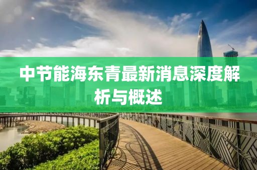 中節(jié)能海東青最新消息深度解析與概述