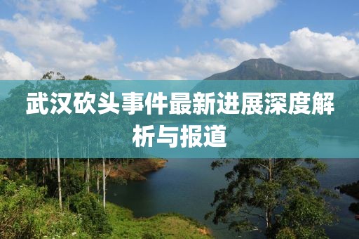 武漢砍頭事件最新進(jìn)展深度解析與報(bào)道