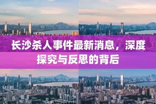 長沙殺人事件最新消息，深度探究與反思的背后