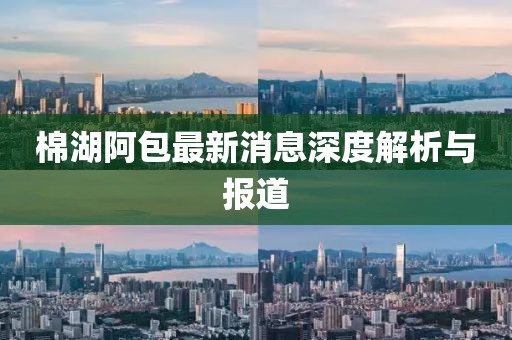 棉湖阿包最新消息深度解析與報(bào)道