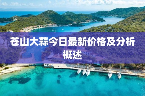 蒼山大蒜今日最新價格及分析概述