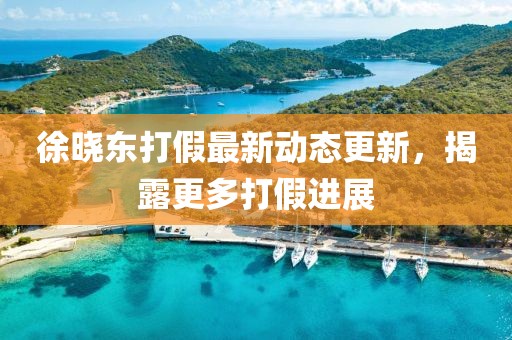 徐曉東打假最新動態(tài)更新，揭露更多打假進展