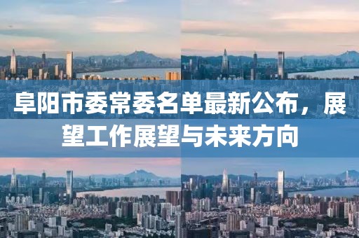 阜陽市委常委名單最新公布，展望工作展望與未來方向