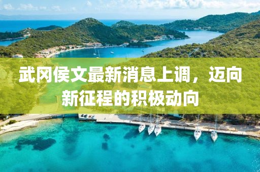 武岡侯文最新消息上調(diào)，邁向新征程的積極動向