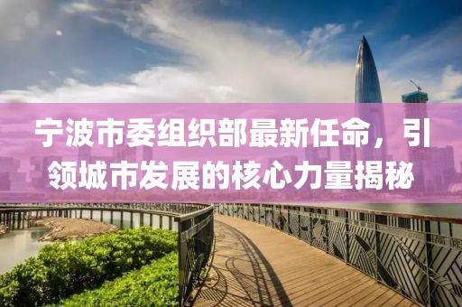 寧波市委組織部最新任命，引領(lǐng)城市發(fā)展的核心力量揭秘